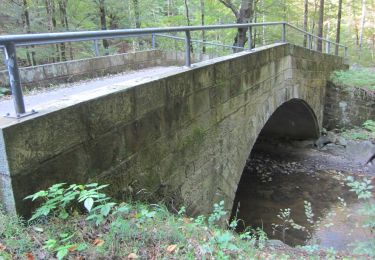 Tocht Te voet Onbekend - Dresdner Heide, Kannenhenkel - Photo