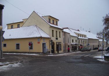 Randonnée A pied Jílové u Prahy - [Z] Jílové - Libeř - Photo