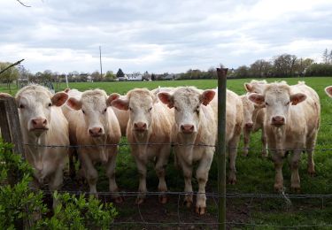 Excursión Marcha nórdica Nevers - Nevers alentours  - Photo