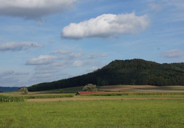 Excursión A pie Berngau - Berngauer Südschlaufe - Photo