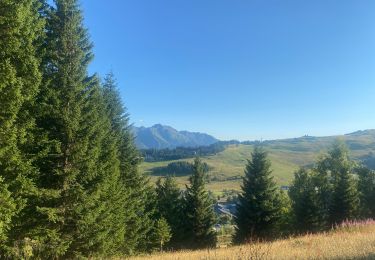 Trail Walking Hauteluce - Les Saisies - Photo