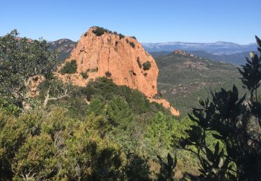 Trail Walking Saint-Raphaël - pic de l’ours - Photo