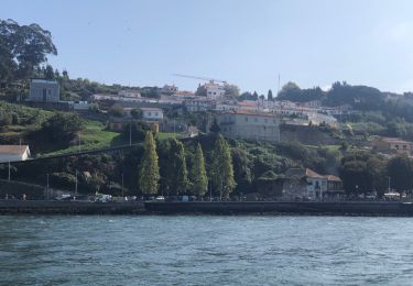 Tour Motorboot Cedofeita, Santo Ildefonso, Sé, Miragaia, São Nicolau e Vitória - Porto 5 croisière  - Photo