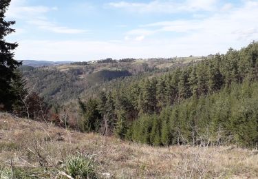 Tocht Stappen Saint-Pierre-du-Champ - ruisseau Besse, st Pierre du Champ - Photo