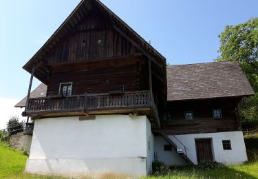 Percorso A piedi Gratwein-Straßengel - Wanderweg 16, Greitherweg - Photo