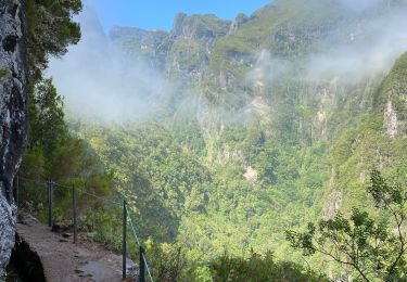 Tocht Stappen Santana - Levada  - Photo