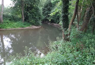 Tocht Stappen Viroinval - Dourbes - Le long du Viroin - Photo