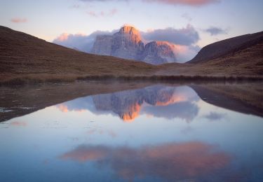 Tocht Te voet San Vito di Cadore - IT-465 - Photo