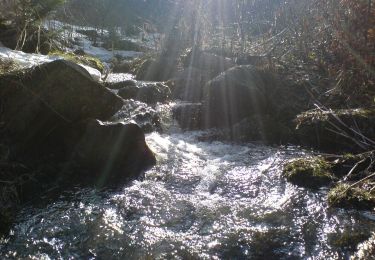 Tour Zu Fuß Bezirk Zipser Neudorf - Banícky náučný chodník - Photo