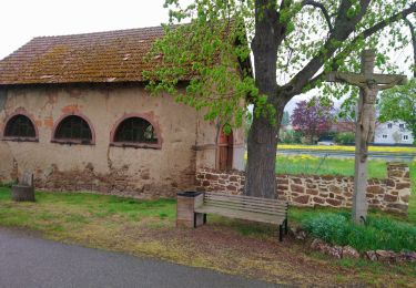 Tocht Stappen Hattstatt - Hattstatt tour  - Photo