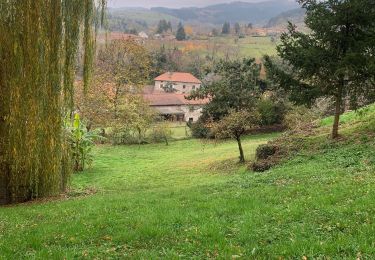 Tour Wandern Renaison - Autour de renaison - Photo