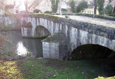 Tocht Te voet Moret-Loing-et-Orvanne - Entre Loing et Orvanne - Photo