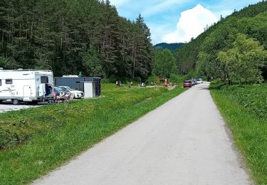 Excursión A pie okres Ružomberok - Naučný chodník Kalameny - Liptovský hrad - Photo