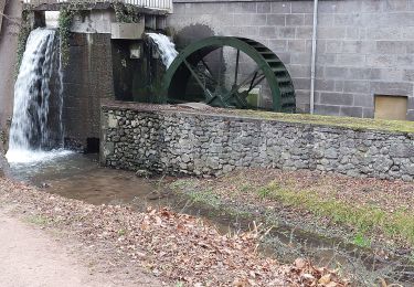 Tour Wandern Cébazat - PARC PIERRE MONTGROUX DE CEBAZAT - Photo