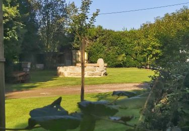Trail Walking Cernay - Cernay - Photo