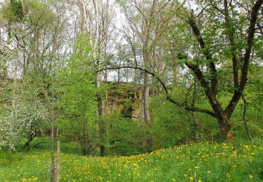 Excursión A pie Weikersheim - Höhenweg Bronn-Honsbronn - Photo