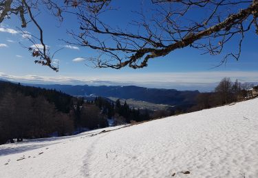 Trail Walking Autrans-Méaudre en Vercors - La Sure par Plénouse  - Photo