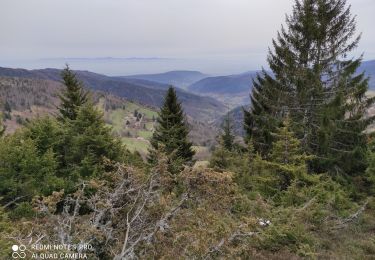 Trail Walking Linthal - Golden trace partielle - Photo