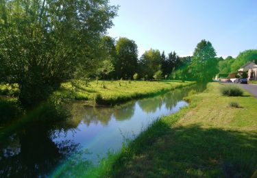 Tour Wandern Saint-Antoine-du-Rocher - Saint-Antoine-du-Rocher - circuit 2 - 9.2km 95m 2h05 - 2019 06 18 - Photo