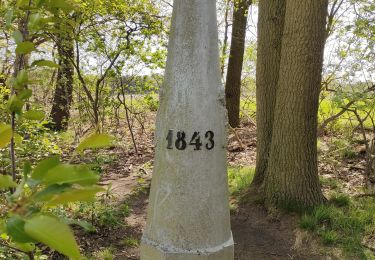 Trail Walking Hamont-Achel - Achel - Photo