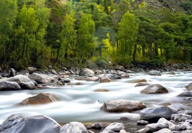 Trail Walking Puy-Guillaume - Puy_Guillaume_Credogne_Tuilier - Photo