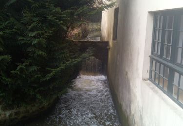 Tocht Stappen Chevreuse - Chevreuse sans le chateau de la MADELEINE - Photo