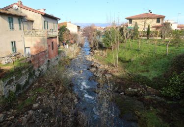 Trail On foot Montevarchi - sent. 41 - Photo