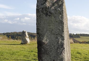 Percorso A piedi Le Sel-de-Bretagne - Chemin de la Vallée - Photo