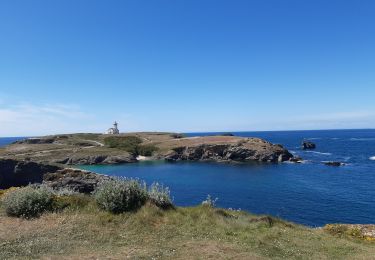 Excursión Senderismo Le Palais - le Palais pointe des Poulains - Photo