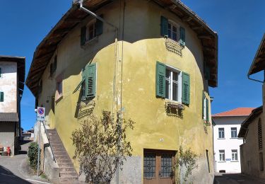 Tour Zu Fuß Borgo d'Anaunia - (SI C07) Fondo - Malosco - Regole di Malosco - Passo Mendola - Rifugio Mezzavia - Malga Romeno (bivio Rifugio Oltradige) - Photo