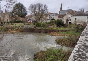 Randonnée Marche Candé-sur-Beuvron - reconnaissance BBR aux Allees - Photo