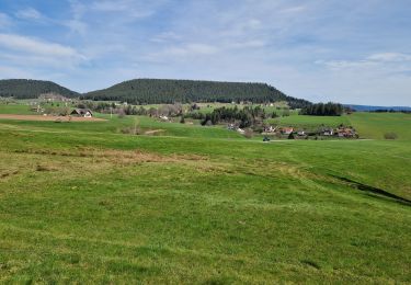 Excursión Senderismo Lauterbach - Kappelehof - Photo