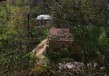 Trail Walking Saint-Martin-de-la-Mer - island alligny island - Photo