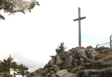 Percorso A piedi Guadarrama - [SL-M 44002] Alamos Blancos - Photo