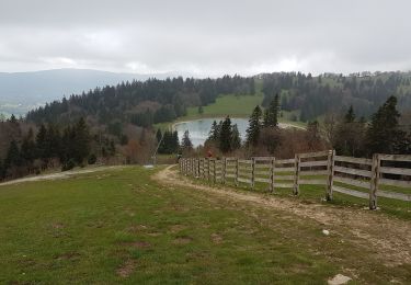 Tour Wandern Métabief - Meta bief lac Morond - Photo