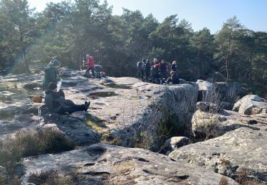 Trail Walking Fontainebleau - JC   19 km Gorges Franchard et Houx JJ - Photo