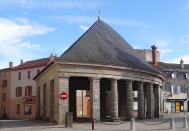 Trail On foot Lempdes-sur-Allagnon - Les Cotes de Lempdes - Photo