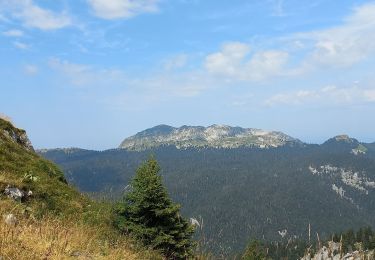 Randonnée Marche Proveysieux - charmant som de la Charmette - Photo