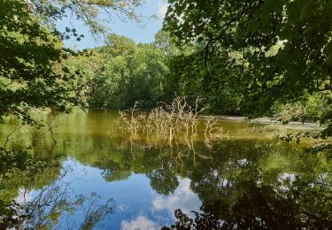 Tocht Te voet Billerbeck - Billerbeck Rundweg B3 - Photo