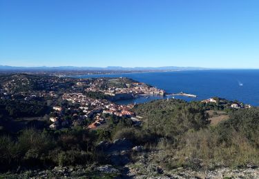 Excursión Senderismo Port-Vendres - BOUCLE PORT VENDRES - COLLIOURE  - Photo