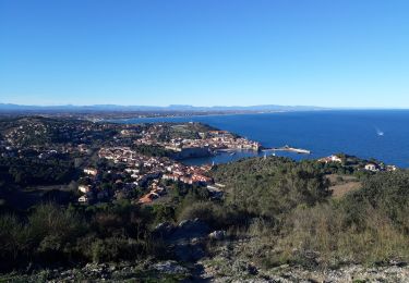 Randonnée Marche Port-Vendres - BOUCLE PORT VENDRES - COLLIOURE  - Photo