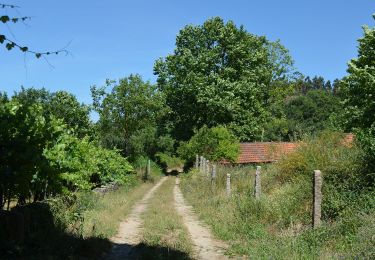 Tocht Te voet Bustelo - Caminho do Românico 2 - Photo