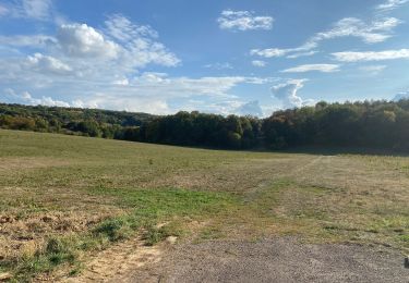 Tocht Stappen Neurey-lès-la-Demie - Balade entre les non uns et sainte Anne  - Photo