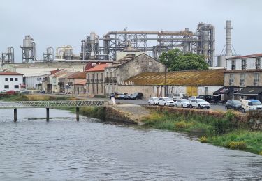Randonnée Marche Caldas de Reis - Caldas Padron  - Photo
