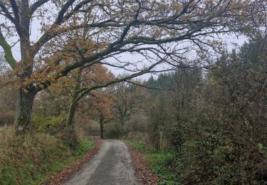 Randonnée Marche Somme-Leuze - Baillonville-Waillet-Les Vennes - Photo