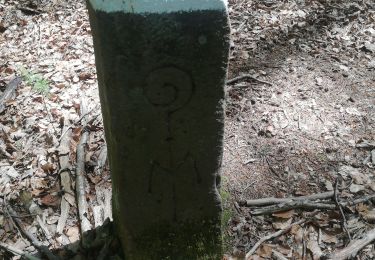 Trail Walking Reinhardsmunster - Schuetzenfelsen - Photo