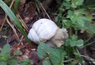 Tocht Stappen Autrans-Méaudre en Vercors - 02 07 19 - Photo