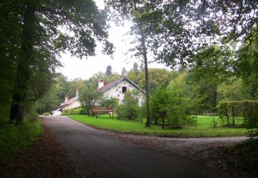 Trail On foot Besançon - Le Cul des Prés - Photo