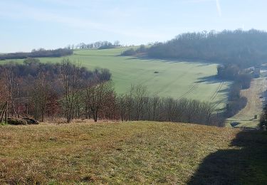 Tour Wandern Villemanoche - Villemanoche 240127 - Photo