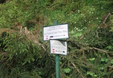 Randonnée A pied Sankt Veit im Pongau - Bräualm-Untere Thennalm - Photo
